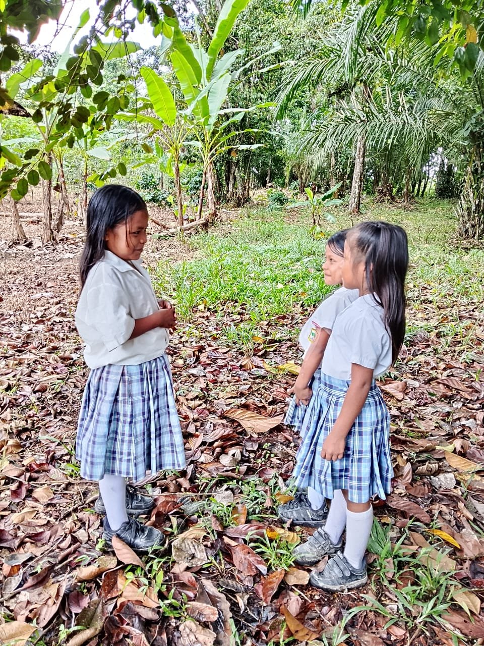 Niños de preescolar Pianulpi