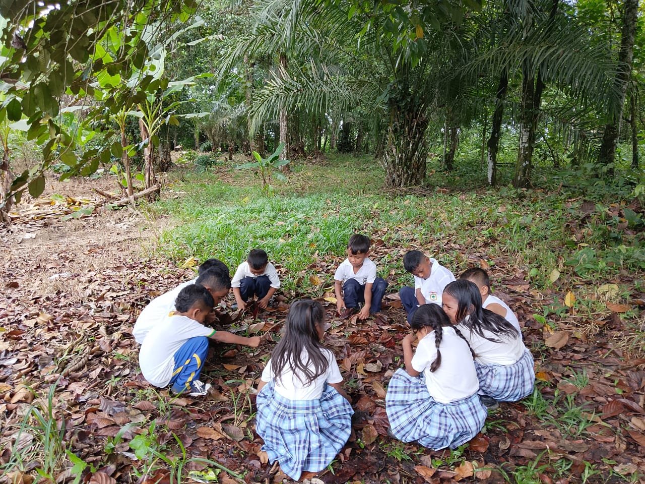 Espacios escolares y recreación