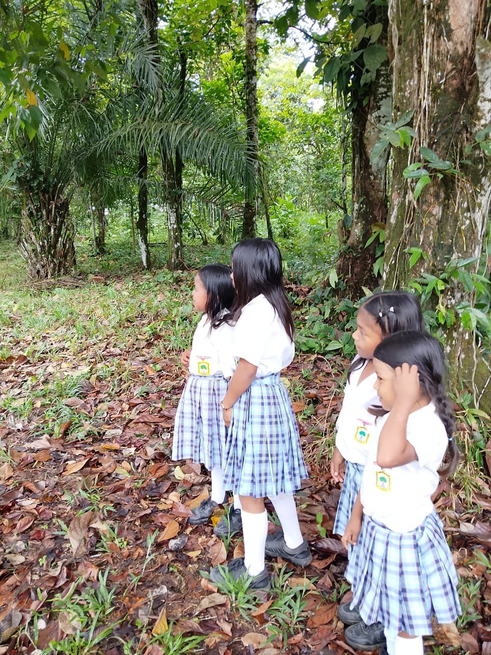 Actividades con la docente Jenny Andrea