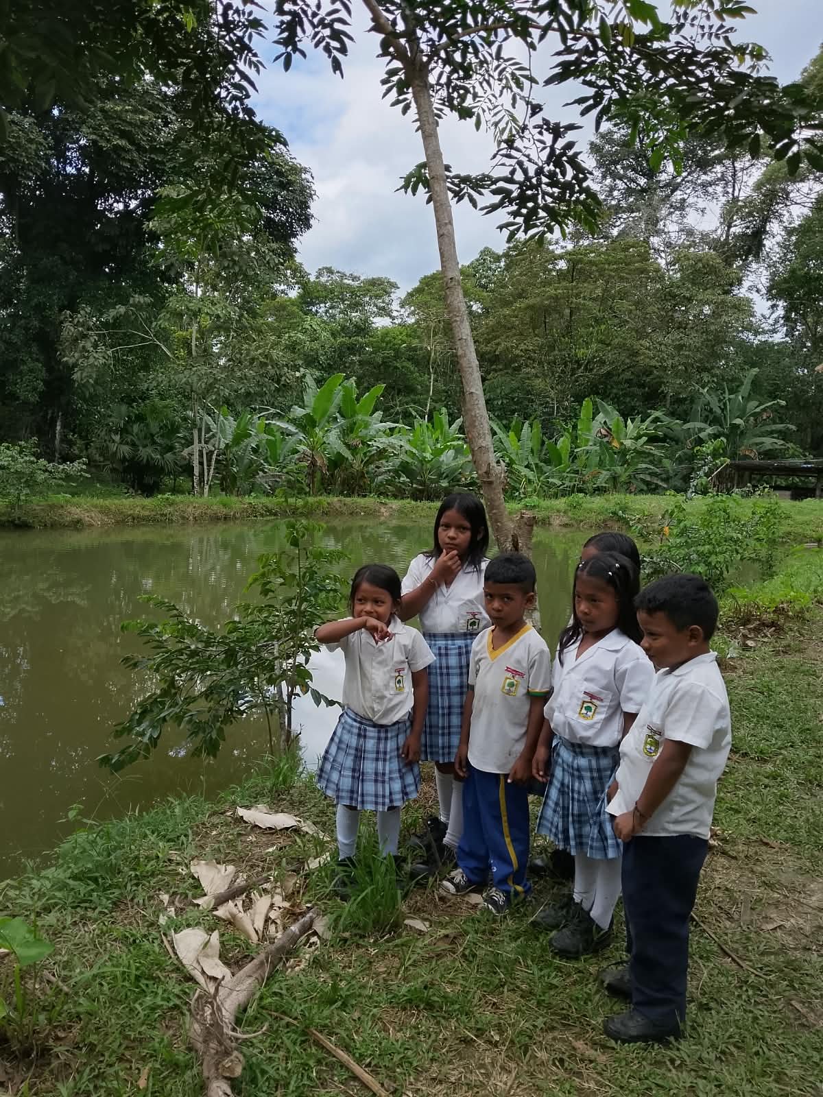Comunidad Awá y Saberes